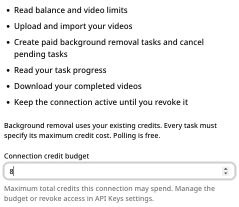 VideoBGRemover authorization screen showing permissions and a connection credit budget