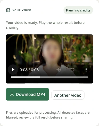 The finished face-blurred preview and Download MP4 button.